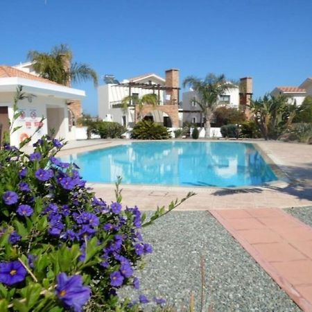 Villa Alexandra Aya Napa Dış mekan fotoğraf